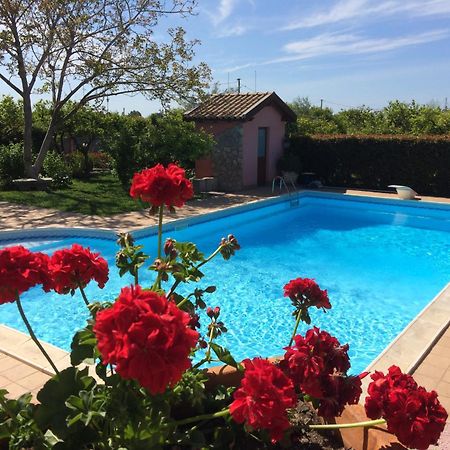 Il Giardino Segreto Bed & Breakfast Trappitello Dış mekan fotoğraf