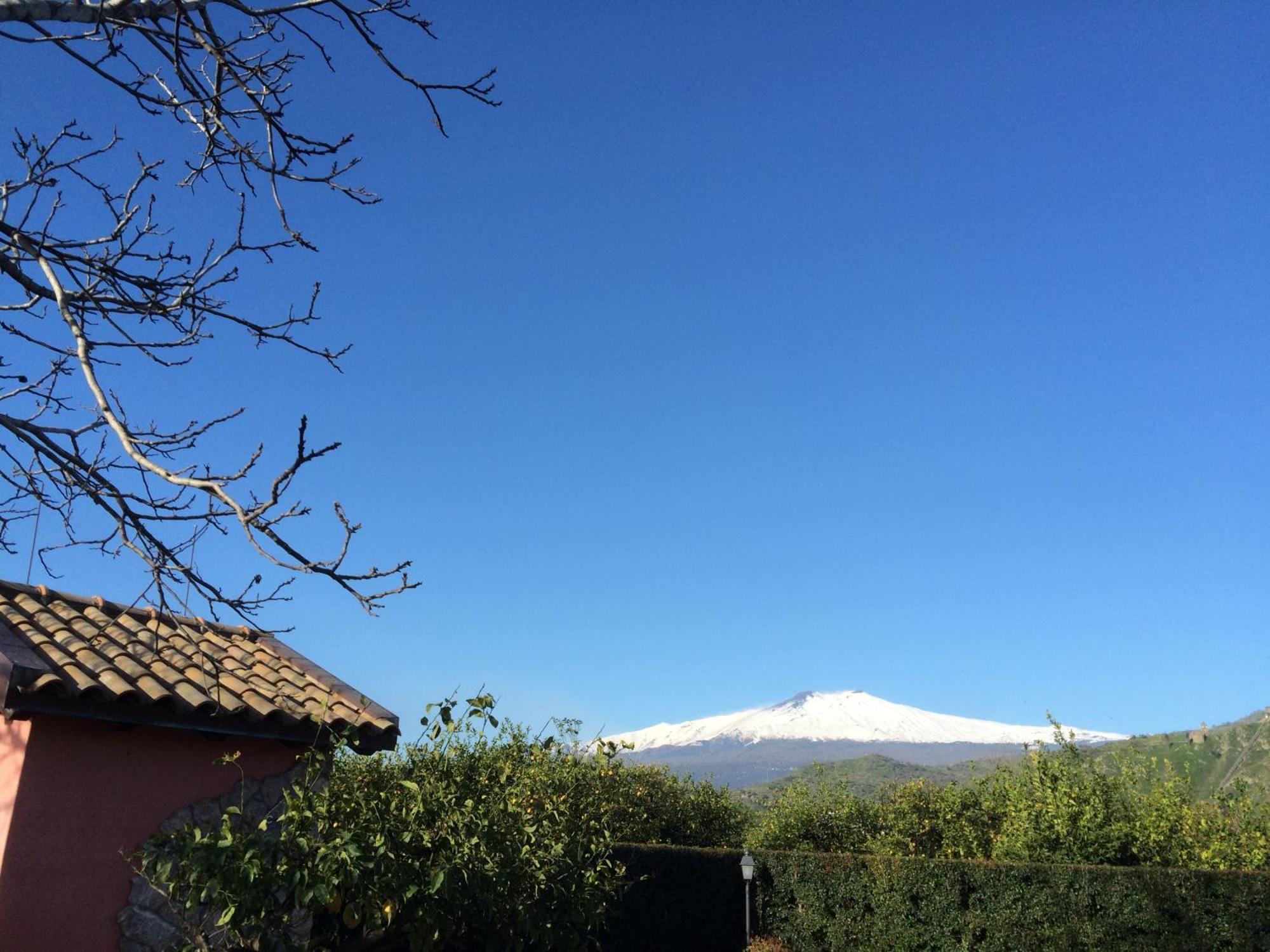 Il Giardino Segreto Bed & Breakfast Trappitello Oda fotoğraf