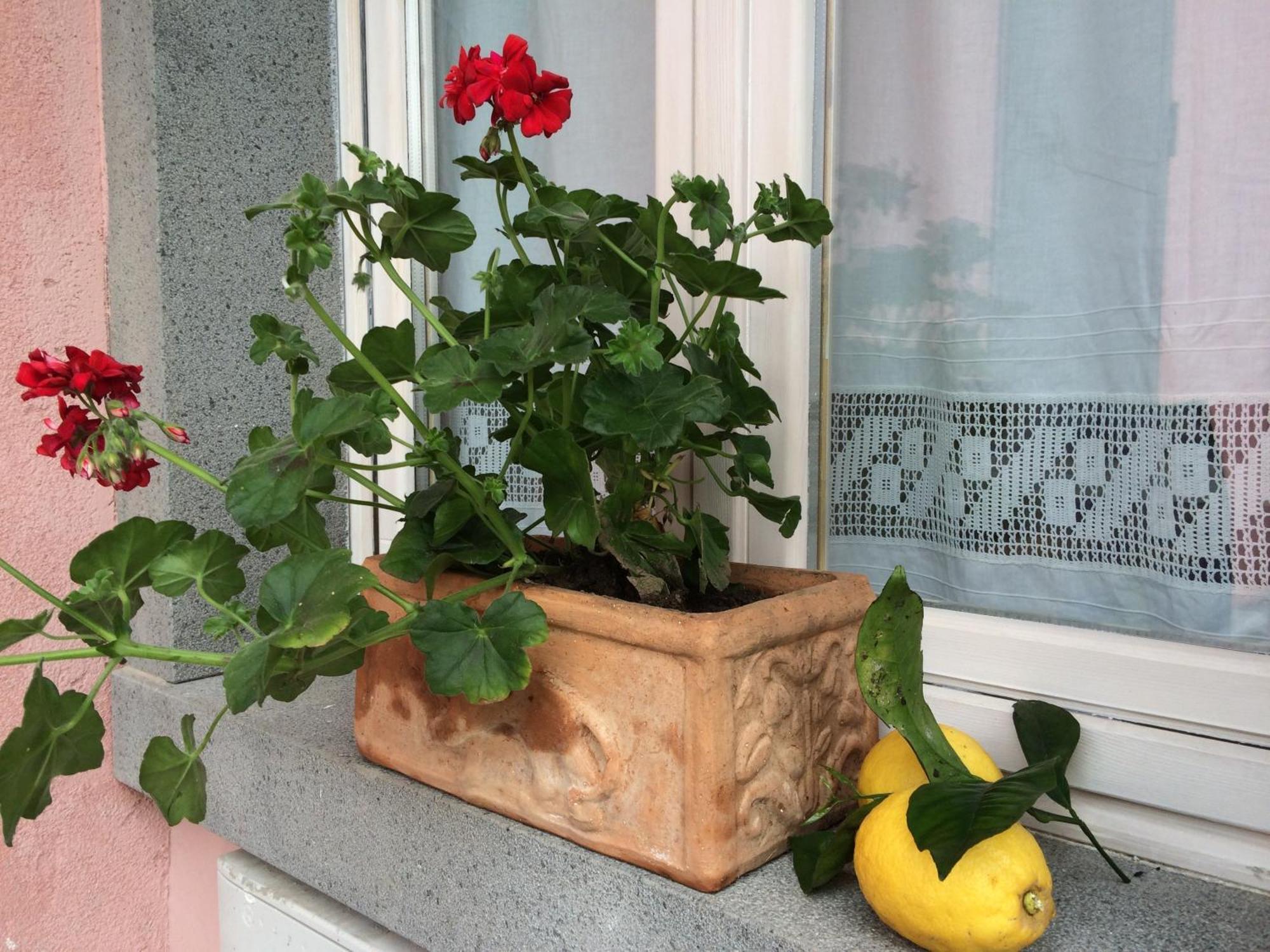 Il Giardino Segreto Bed & Breakfast Trappitello Dış mekan fotoğraf