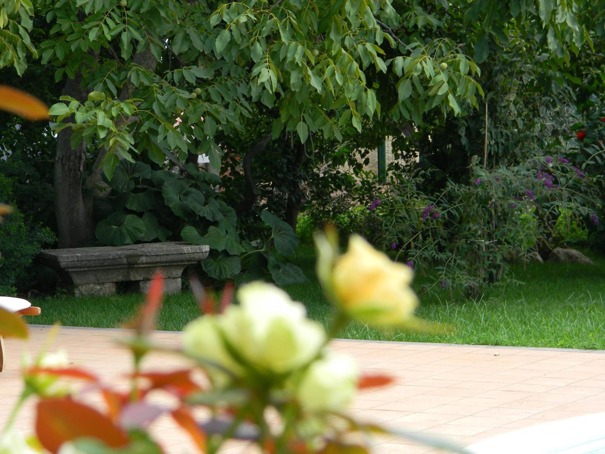Il Giardino Segreto Bed & Breakfast Trappitello Dış mekan fotoğraf