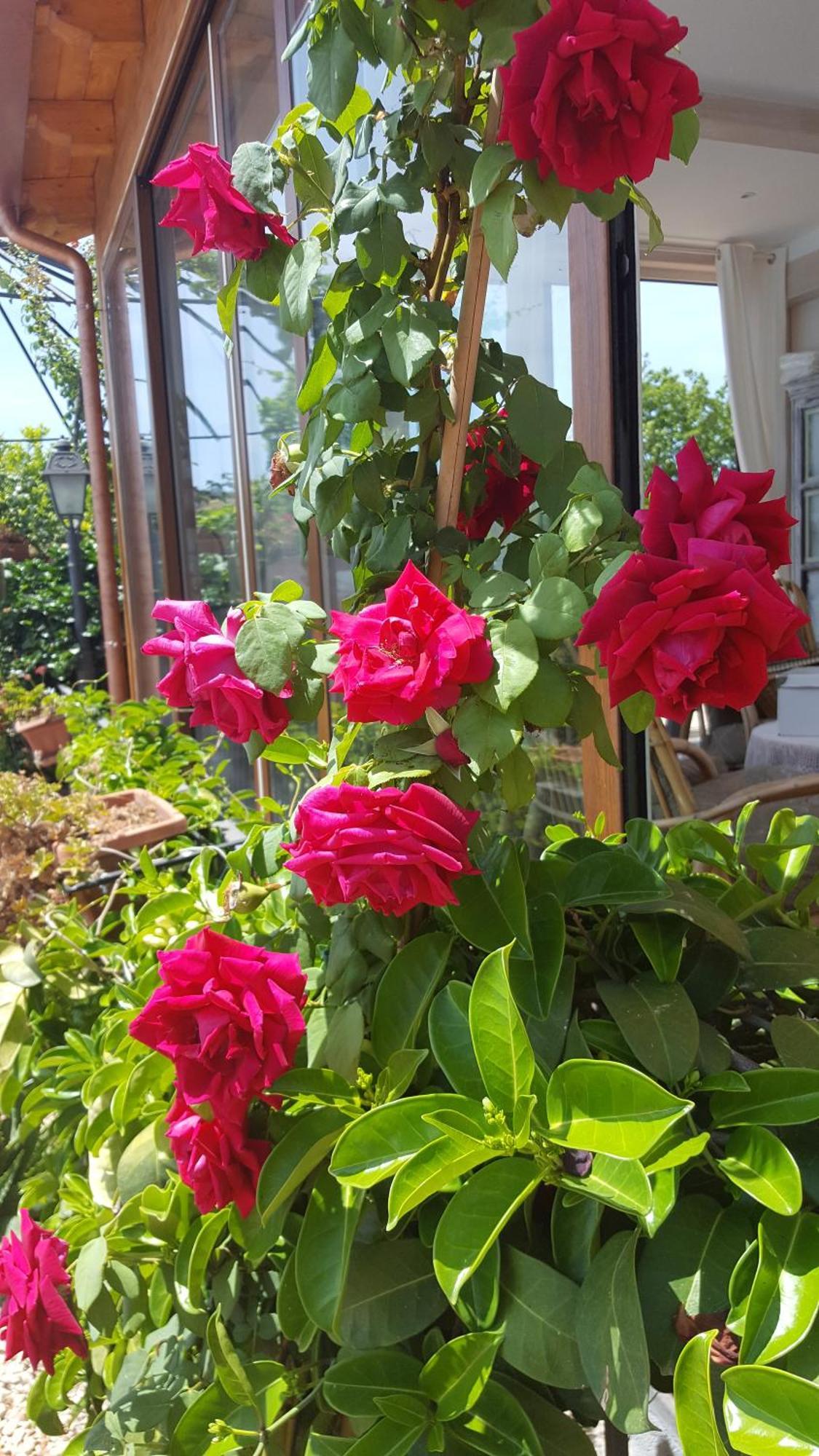 Il Giardino Segreto Bed & Breakfast Trappitello Dış mekan fotoğraf
